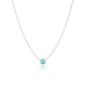 December Turquoise Birthstone Necklace